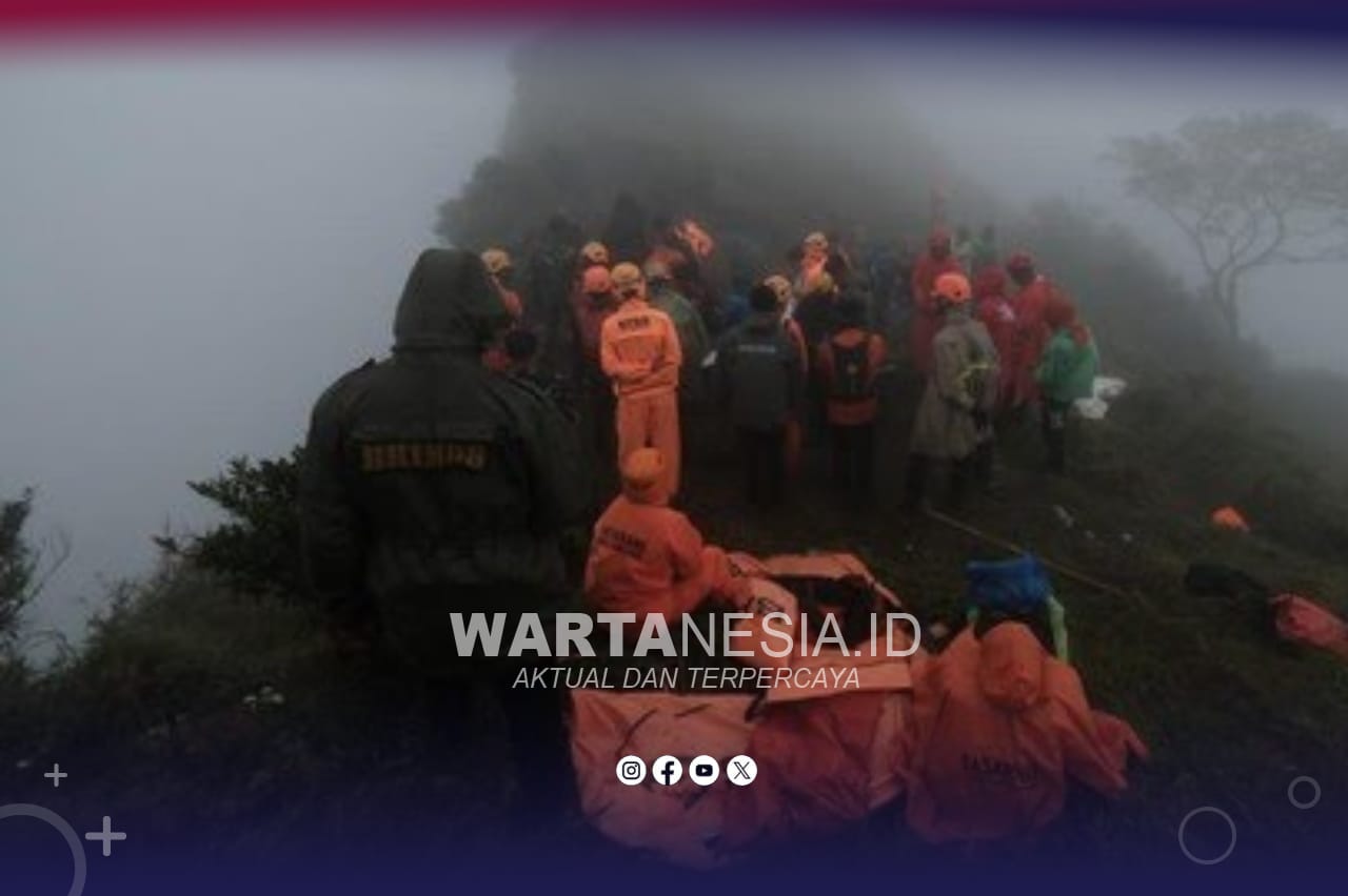 Tim SAR Temukan Enam Jenazah Korban Pesawat ATR 42-500 di Gunung Bulusaraung