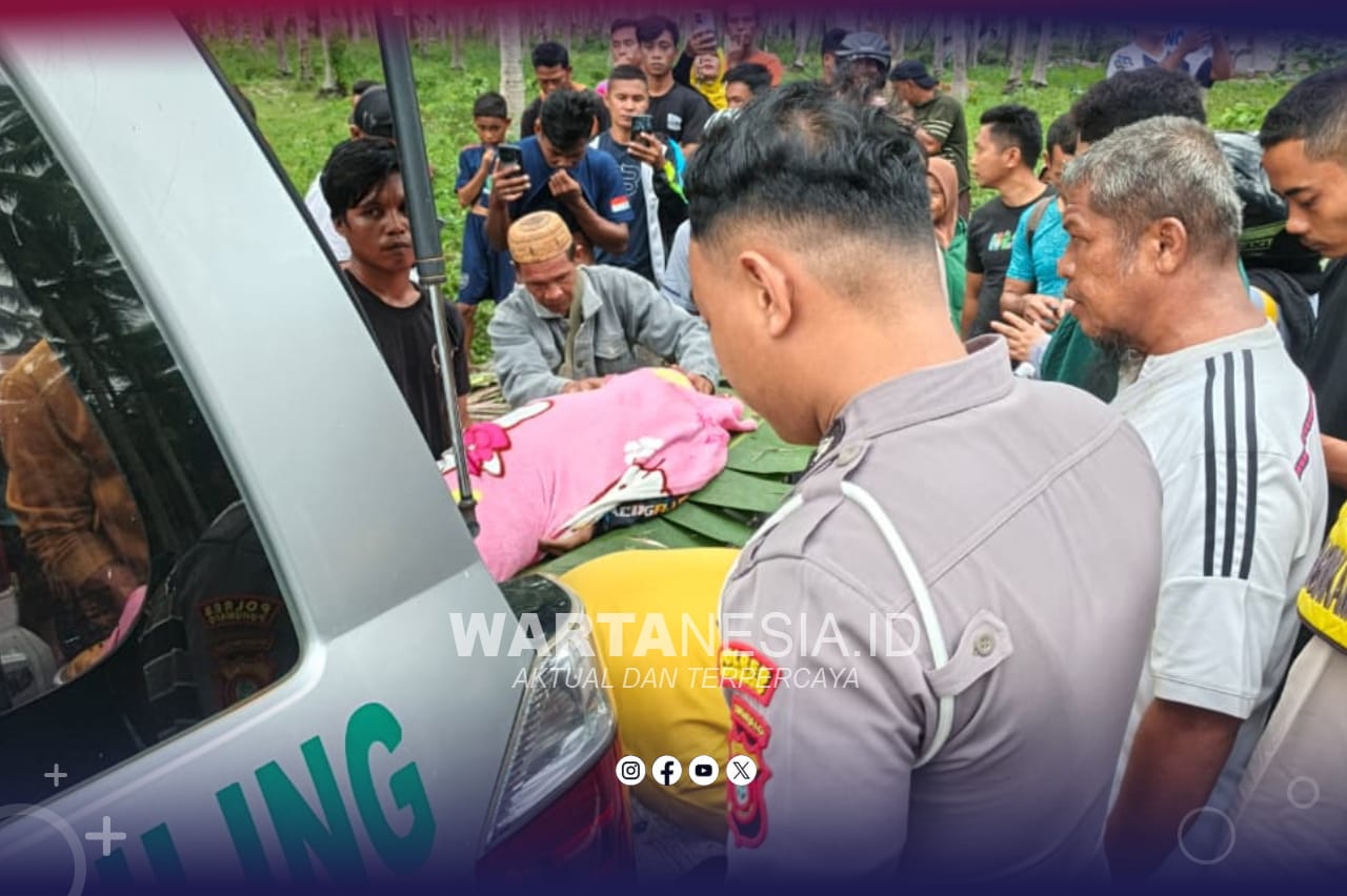 Proses Evakuasi Korban Kecelakaan di Patilanggio, (Istimewa)