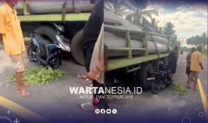 Kecelakaan lalu lintas di ruas Jalan Trans Sulawesi, tepatnya di Desa Tapadaa, Kecamatan Botumoito, Kabupaten Boalemo, Provinsi Gorontalo, Minggu (19/4/2026) sekitar pukul 04.00 WITA. (Foto/Ikha Nani) Kecelakaan lalu lintas di ruas Jalan Trans Sulawesi, tepatnya di Desa Tapadaa, Kecamatan Botumoito, Kabupaten Boalemo, Provinsi Gorontalo, Minggu (19/4/2026) sekitar pukul 04.00 WITA. (Foto/Ikha Nani)