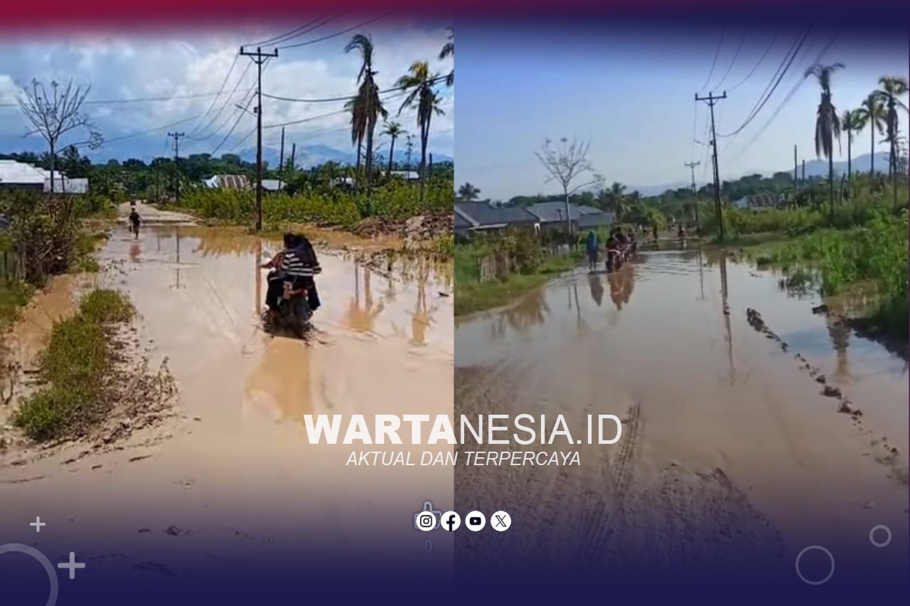 Kondisi jalan penghubung antar Desa Teratai dan Bulangita dipenuhi lumpur akibat aktivitas PETI.