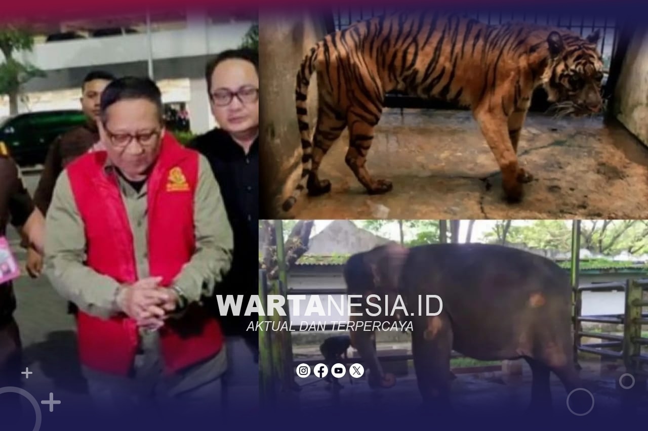 Dana Pakan Satwa Rp10,2 Milyar Dikorupsi, Eks Dirut KBS jadi Tersangka