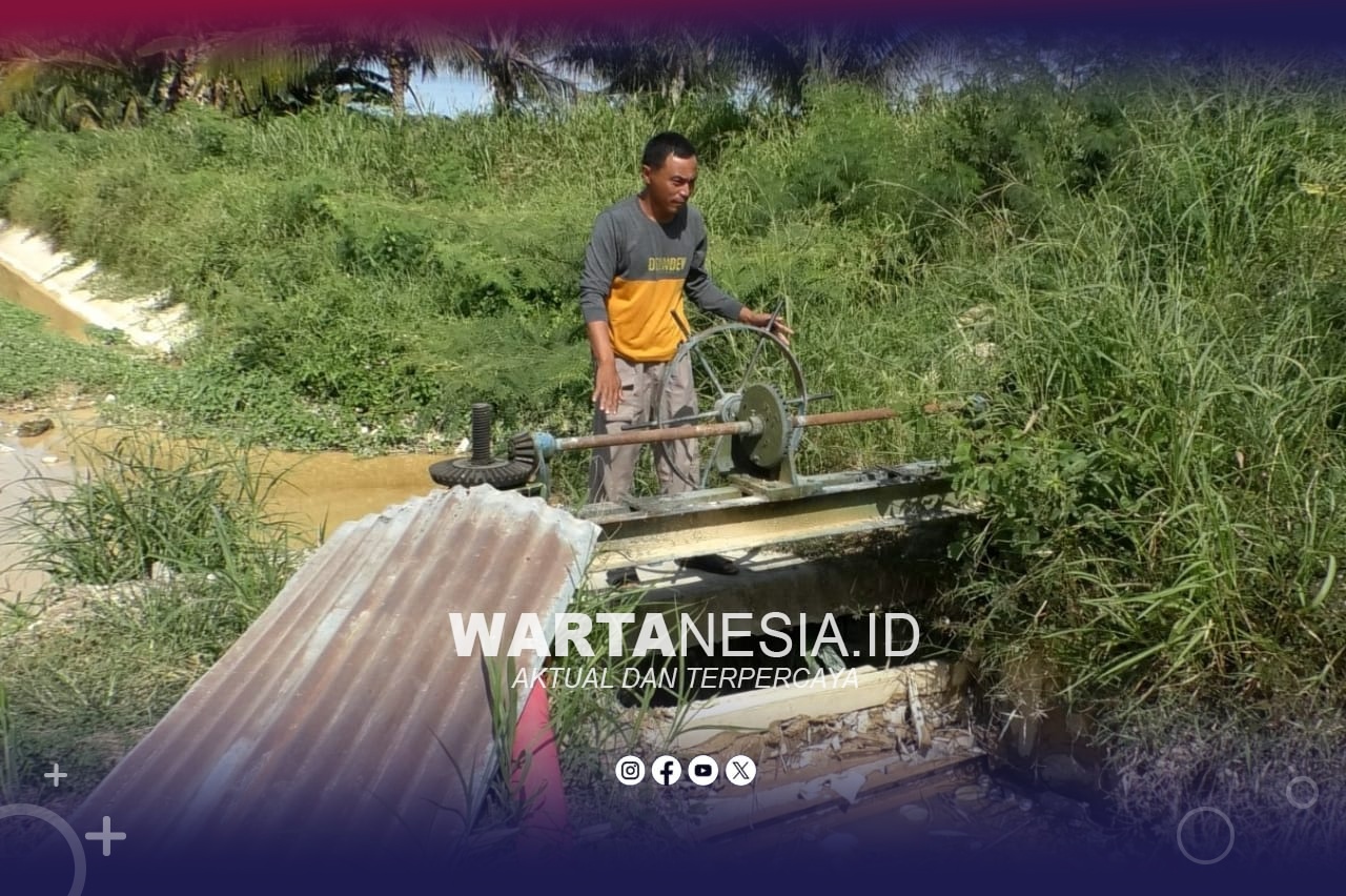 Petani di Kecamatan Duhiadaa, Pohuwato, menyaksikan saluran irigasi sawah yang tertumpuk sedimen. (Istimewa)