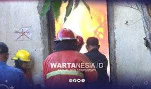Petugas Damkar tengah memadamkan api yang membakar gudang barang bekas di Kota Gorontalo.