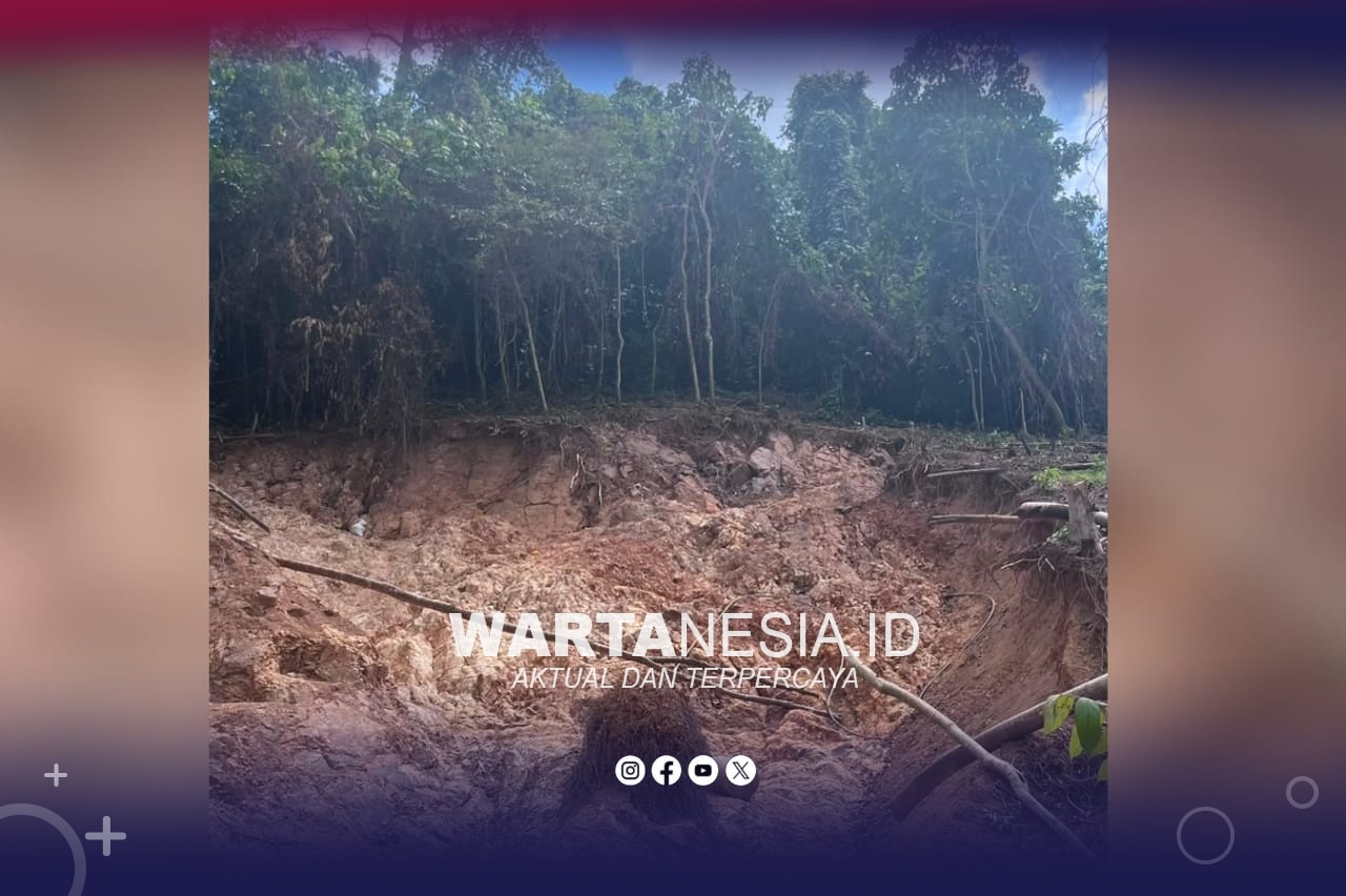 Kondisi didiga Hutan Desa Hulawa yang dirusak PETI. (Istimewa)