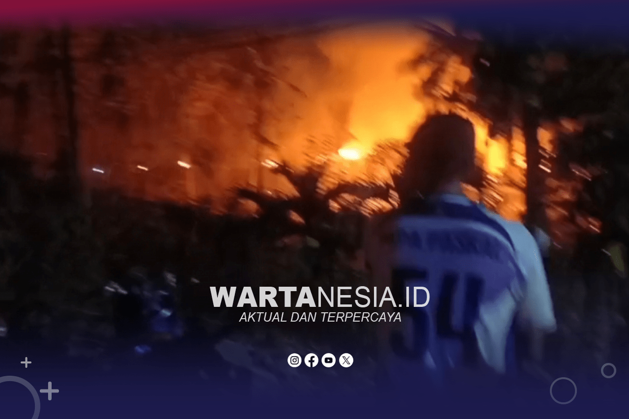 Kebakaran Hebat di Gunung Panjang Pohuwato, Api Dikabarkan Mendekati Permukiman Warga