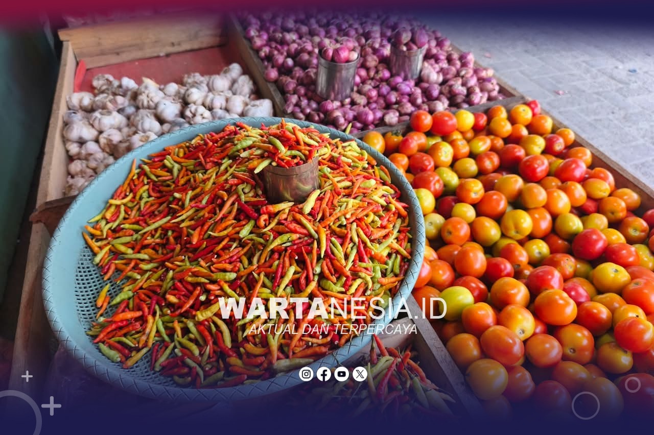 Dipicu Kemarau, Cabai di Pohuwato Tembus Rp180 Ribu per Kg, Tomat jadi Rp75 Ribu. (Alan)