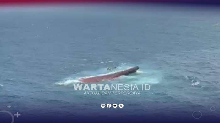 potret-udara-kapal-virgo-transport-8-yang-terbalik-usai-hilang-kontak-di-laut-jawa-dokbasarnas-1789305610227_169 Baca artikel detiknews, "Update Korban Kapal Virgo Transport: 6 Orang Tewas, 129 Masih Dicari" selengkapnya https://news.detik.com/berita/d-8661733/update-korban-kapal-virgo-transport-6-orang-tewas-129-masih-dicari. Download Apps Detikcom Sekarang https://apps.detik.com/detik/