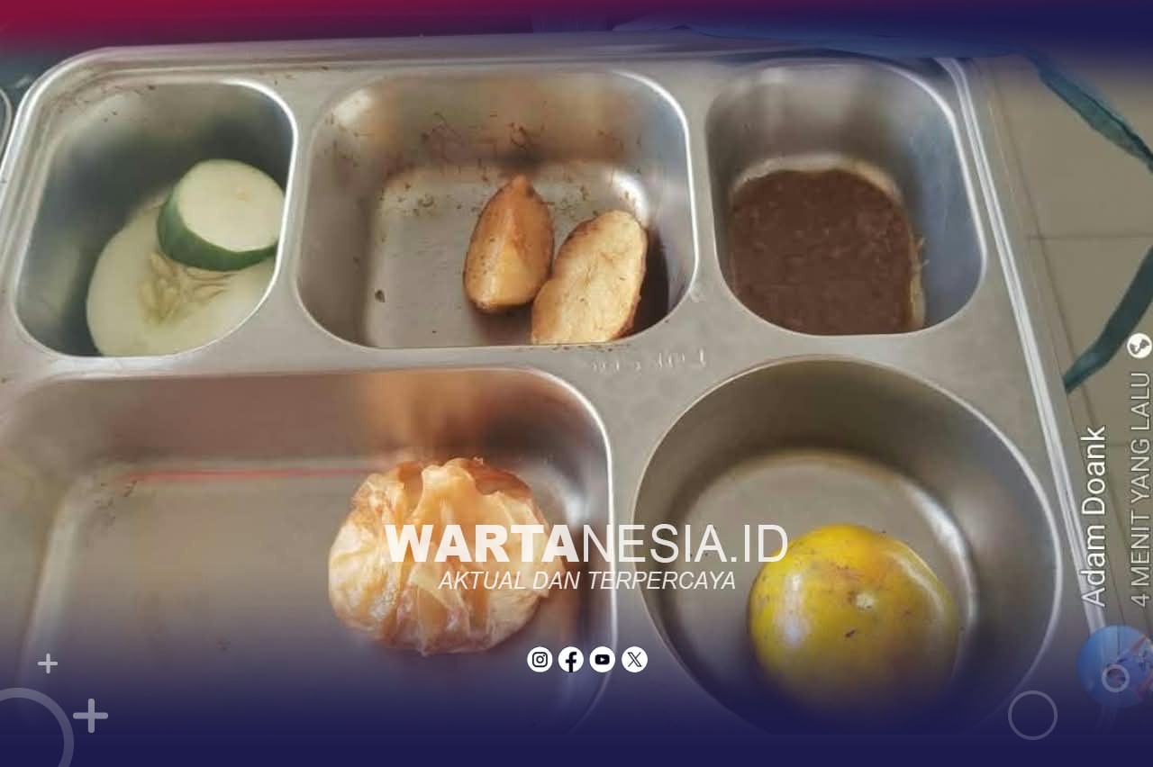 Menu MBG di SMA Negeri 1 Randangan yang menjadi sorotan. (Dok, Istimewa) Menu MBG di SMA Negeri 1 Randangan yang menjadi sorotan. (Dok, Istimewa)