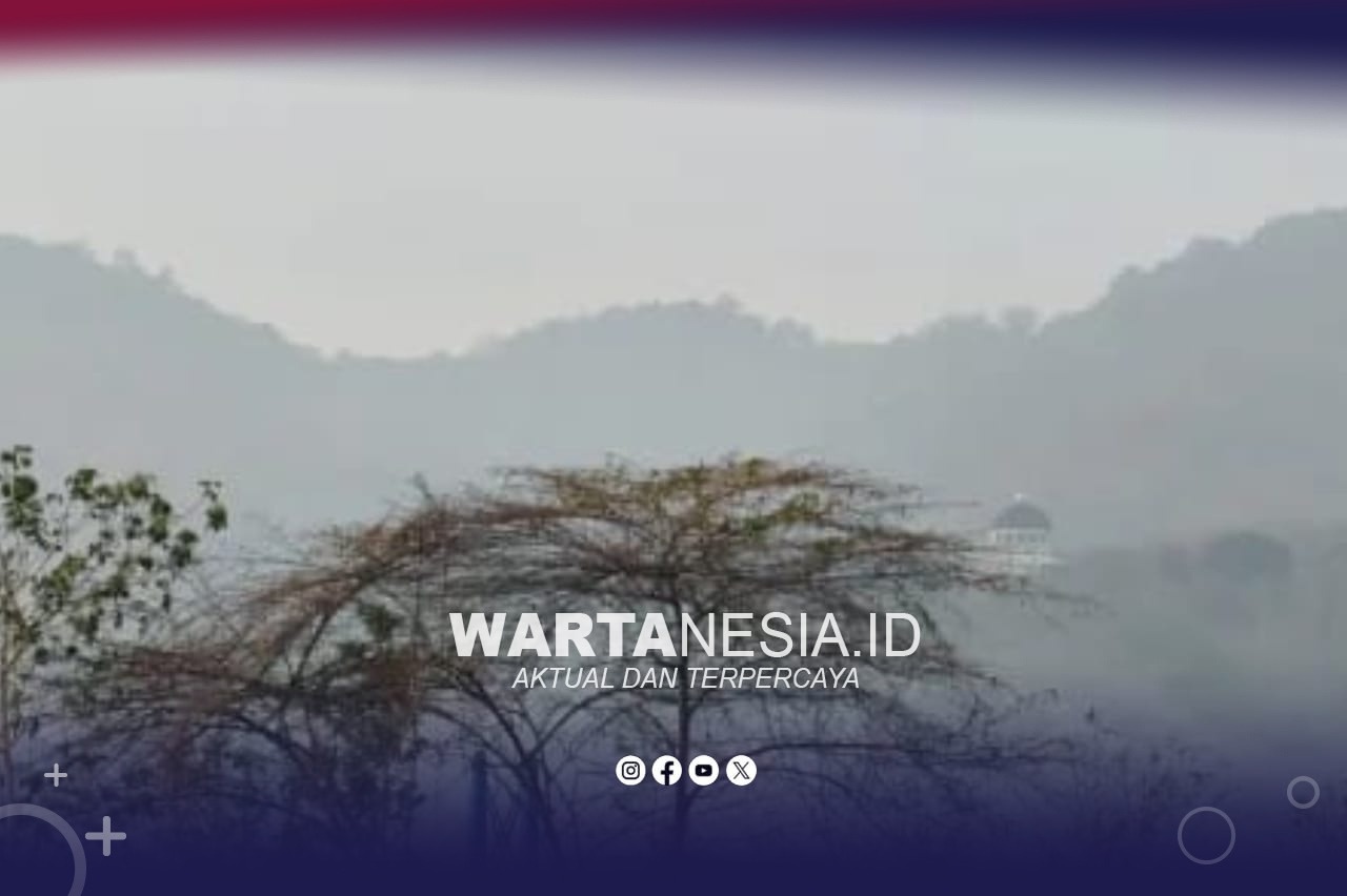 Kondisi udara gorontalo akibat karhutla. (Dok, Istimewa)