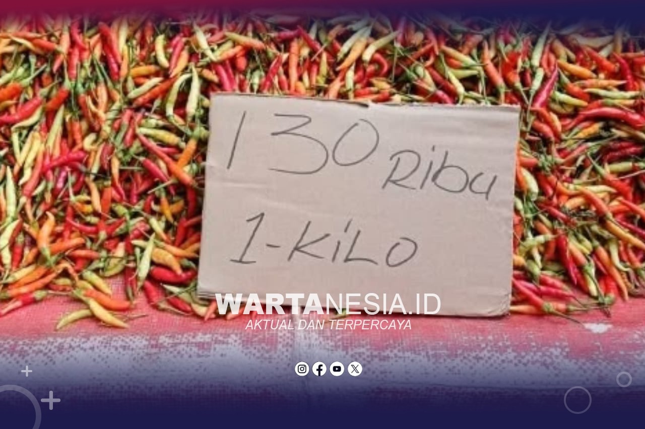 IMG-20261031-WA0009 Harga Rica di Pasar Sabtu Andalas Capai Rp130 Ribu per Kilogram. (Dok, Istimewa)